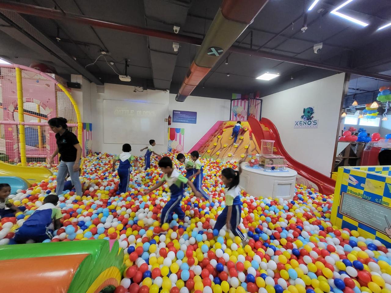 IMG-20241206-WA0005